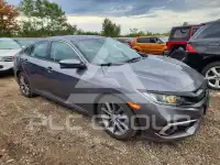 2019 Honda CIVIC photo