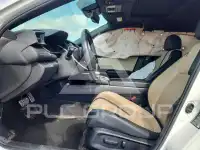 2019 Honda CIVIC photo