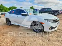 2019 Honda CIVIC фото