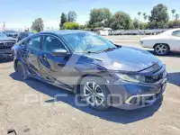 2019 Honda CIVIC photo