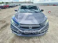 2019 Honda CIVIC photo