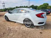 2019 Honda CIVIC фото