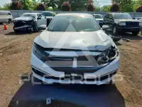 2019 Honda CIVIC photo