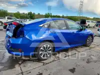 2019 Honda CIVIC фото