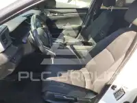 2019 Honda CIVIC photo