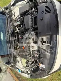 2019 Honda CIVIC фото