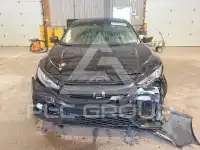 2019 Honda CIVIC photo