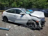 2019 Honda CIVIC фото