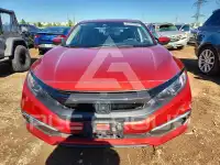 2019 Honda CIVIC фото