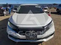 2019 Honda CIVIC photo
