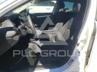 2019 Honda CIVIC photo