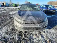 2019 Honda CIVIC фото