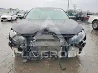 2019 Honda CIVIC photo
