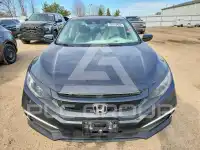 2019 Honda CIVIC photo