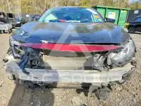 2019 Honda CIVIC photo