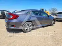 2019 Honda CIVIC фото
