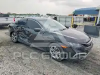 2019 Honda CIVIC фото