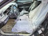 2019 Honda CIVIC photo