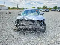 2019 Honda CIVIC фото