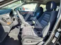 2019 Honda CR-V photo