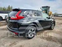 2019 Honda CR-V фото