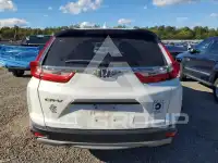 2019 Honda CR-V фото