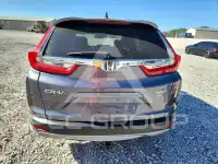 2019 Honda CR-V фото