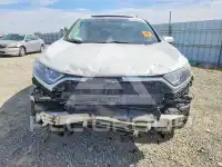 2019 Honda CR-V фото