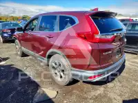 2019 Honda CR-V фото