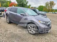 2019 Honda CR-V фото
