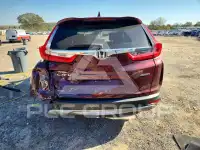 2019 Honda CR-V фото