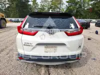 2019 Honda CR-V photo