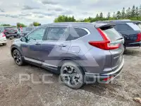 2019 Honda CR-V фото