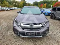 2019 Honda CR-V фото