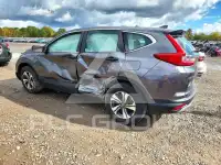 2019 Honda CR-V photo