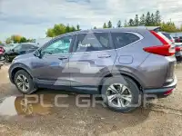 2019 Honda CR-V фото