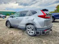 2019 Honda CR-V фото