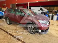 2019 Honda CR-V photo