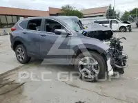 2019 Honda CR-V фото
