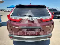 2019 Honda CR-V photo