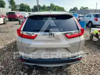2019 Honda CR-V фото