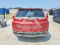 2019 Honda CR-V фото