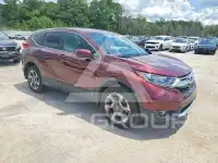 2019 Honda CR-V фото