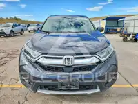 2019 Honda CR-V photo