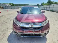 2019 Honda CR-V фото