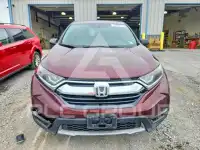 2019 Honda CR-V фото