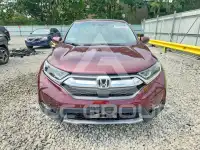 2019 Honda CR-V photo