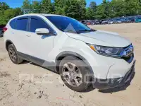 2019 Honda CR-V photo