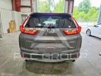 2019 Honda CR-V фото