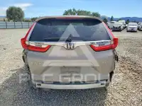 2019 Honda CR-V фото